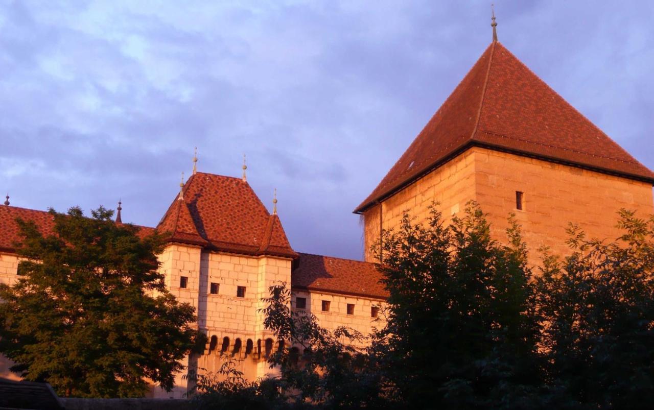 Appartement Dans La Vieille Ville, En Face Du Chateau Annecy Kültér fotó
