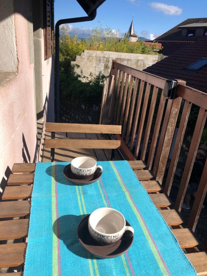 Appartement Dans La Vieille Ville, En Face Du Chateau Annecy Kültér fotó